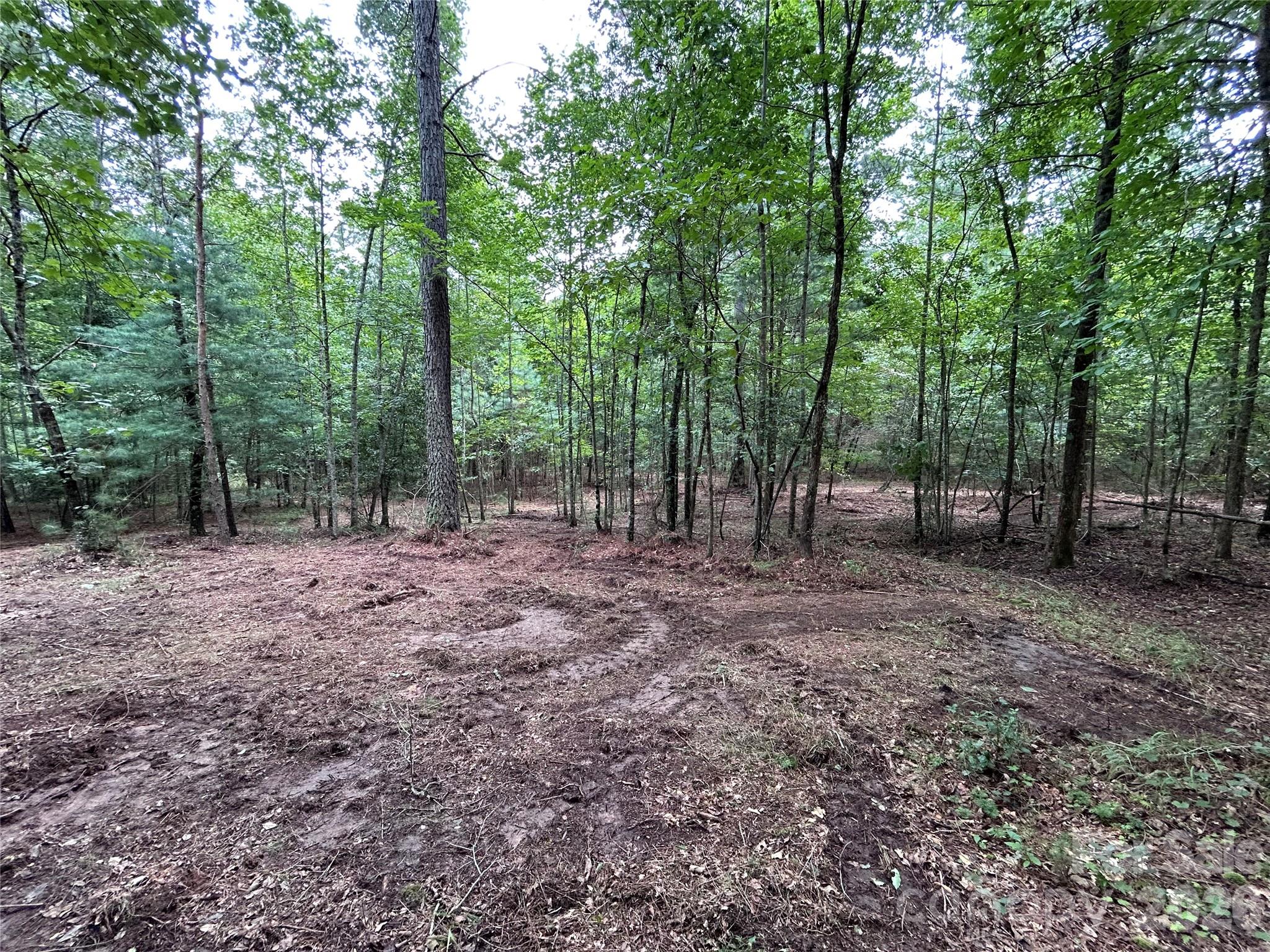 1036 Paradise Harbor Drive, Connelly Springs