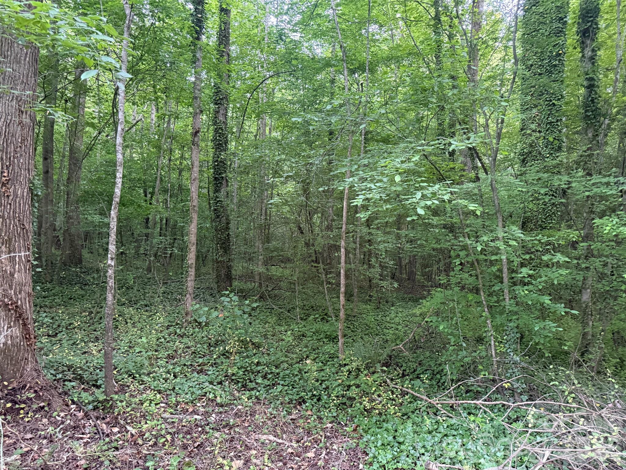 00 Winterhaven Road Road, Taylorsville